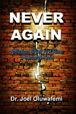 Never Again Book Cover